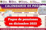 Pagos de pensiones en diciembre 2025: consulta tu banco y calendario oficial del Gobierno
