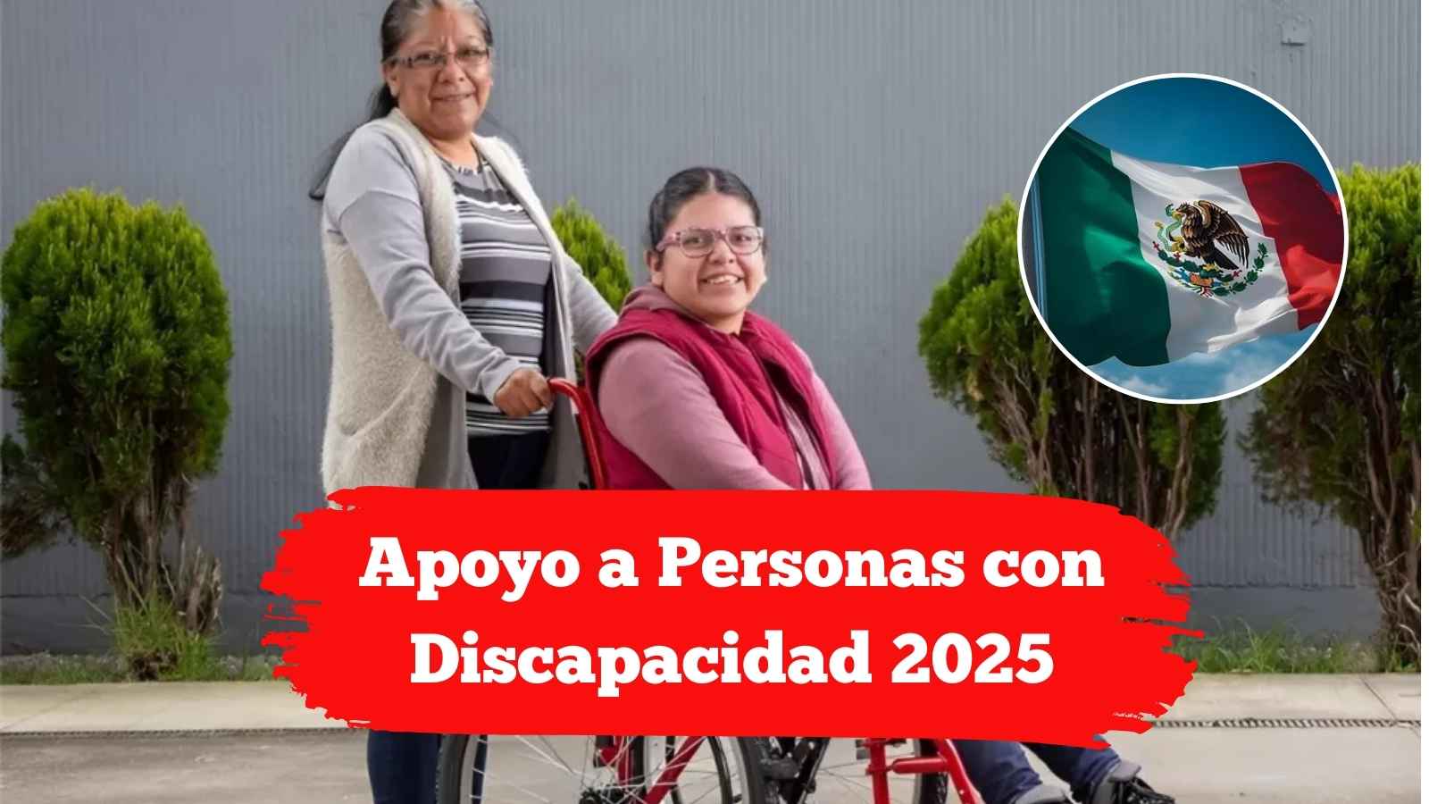 Apoyo a Personas con Discapacidad 2025: quién califica, cómo registrarse y fechas de depósito